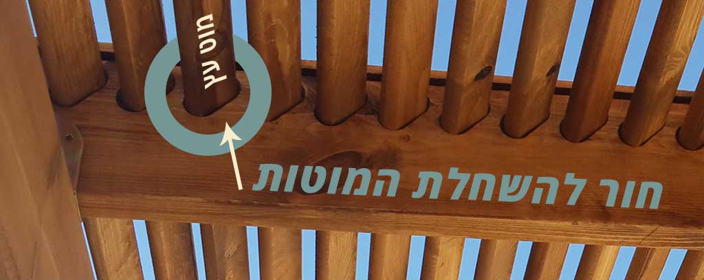 פרגולה כשרה לסוכות